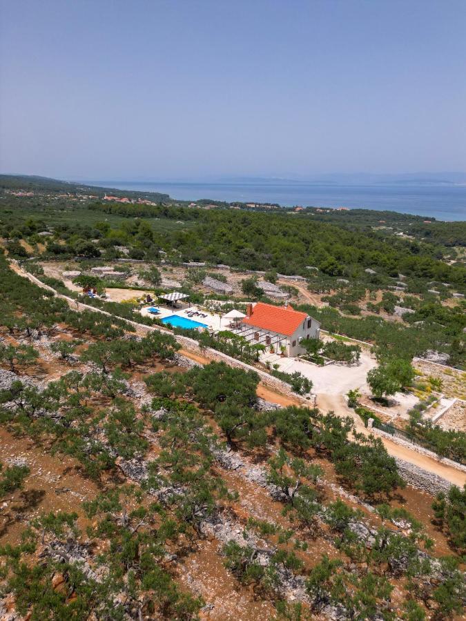 Villa Fani Супетар Экстерьер фото