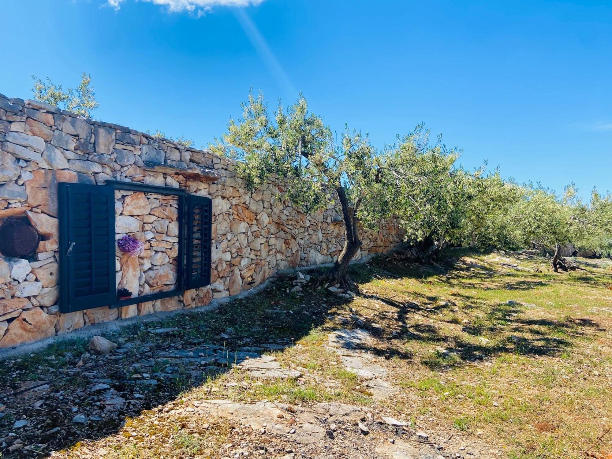 Villa Fani Супетар Экстерьер фото